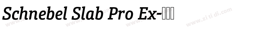 Schnebel Slab Pro Ex字体转换 Schnebel Slab Pro Ex字体转换
